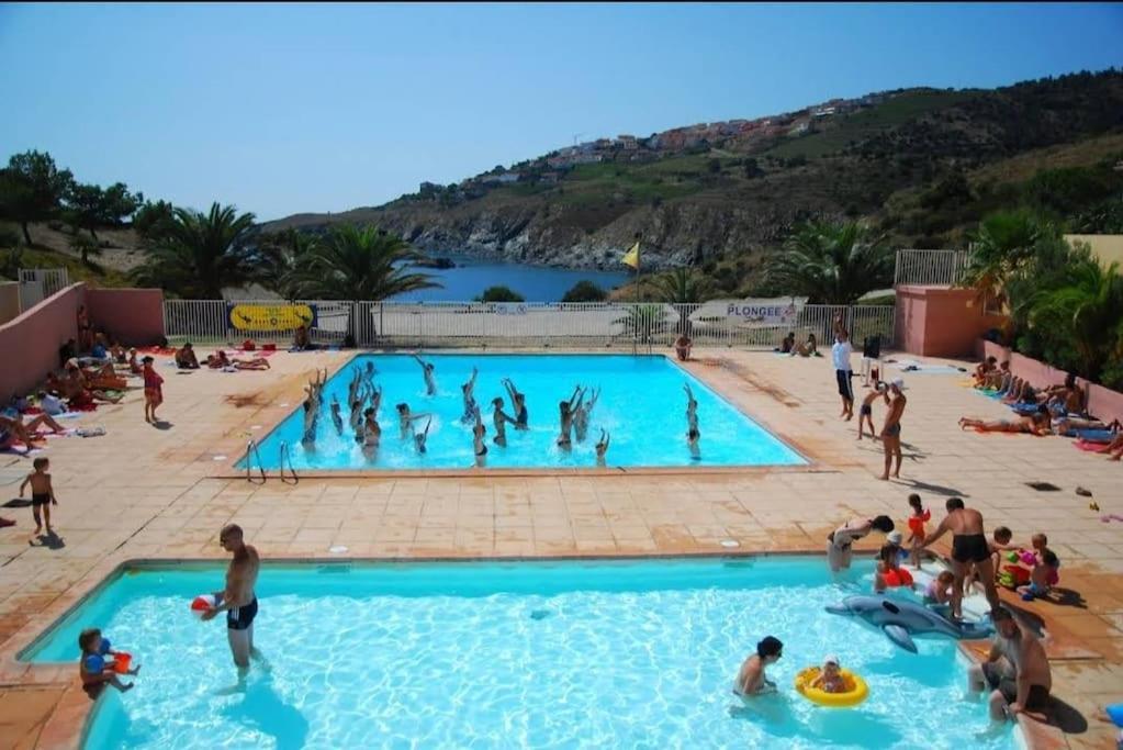 Residence Les Aloes T2 , Ideal 2 Adultes 2 Enfants A 2 Minutes De La Mer Cerbere Exterior photo